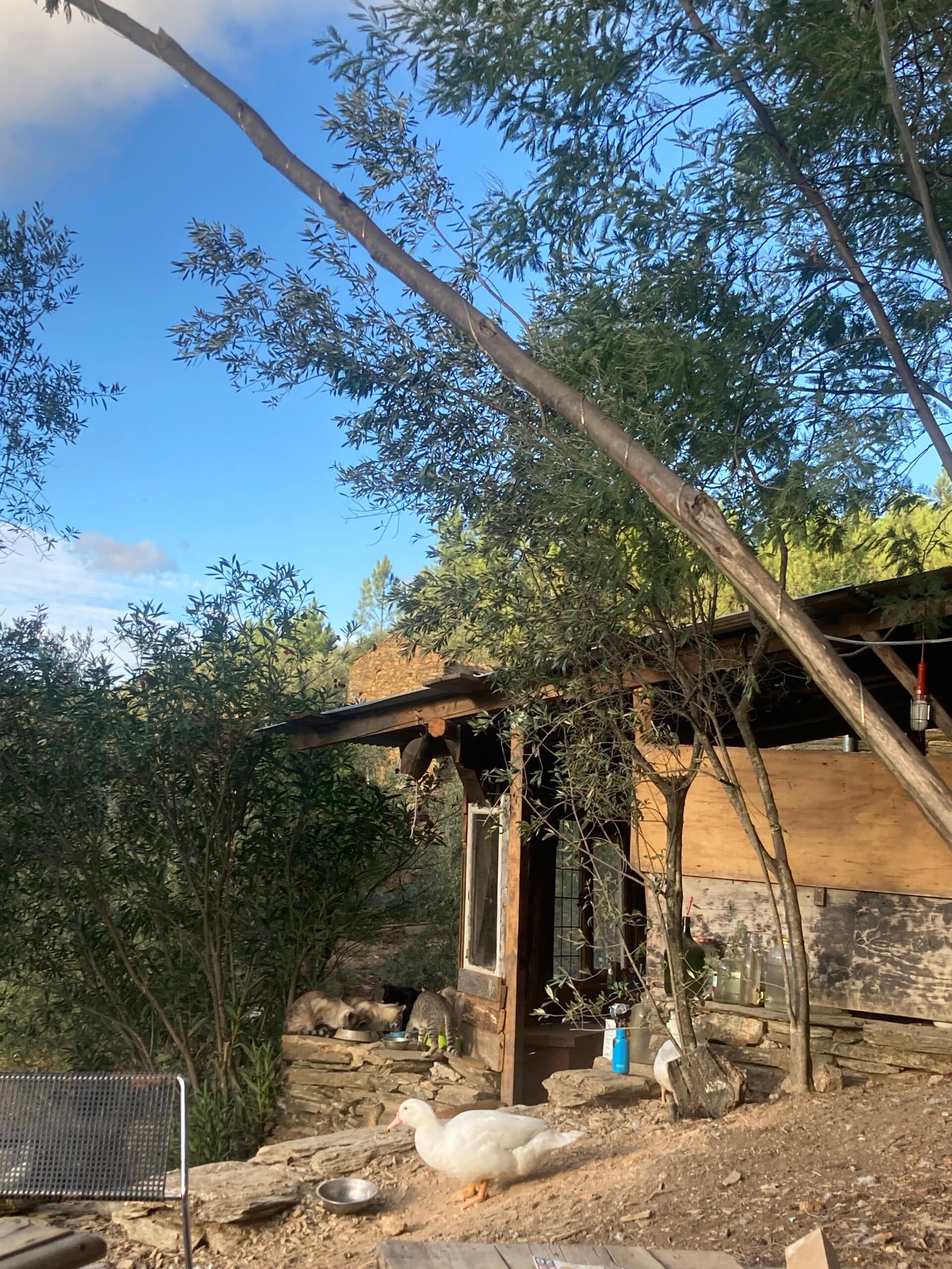 Off-grid Accommodation
