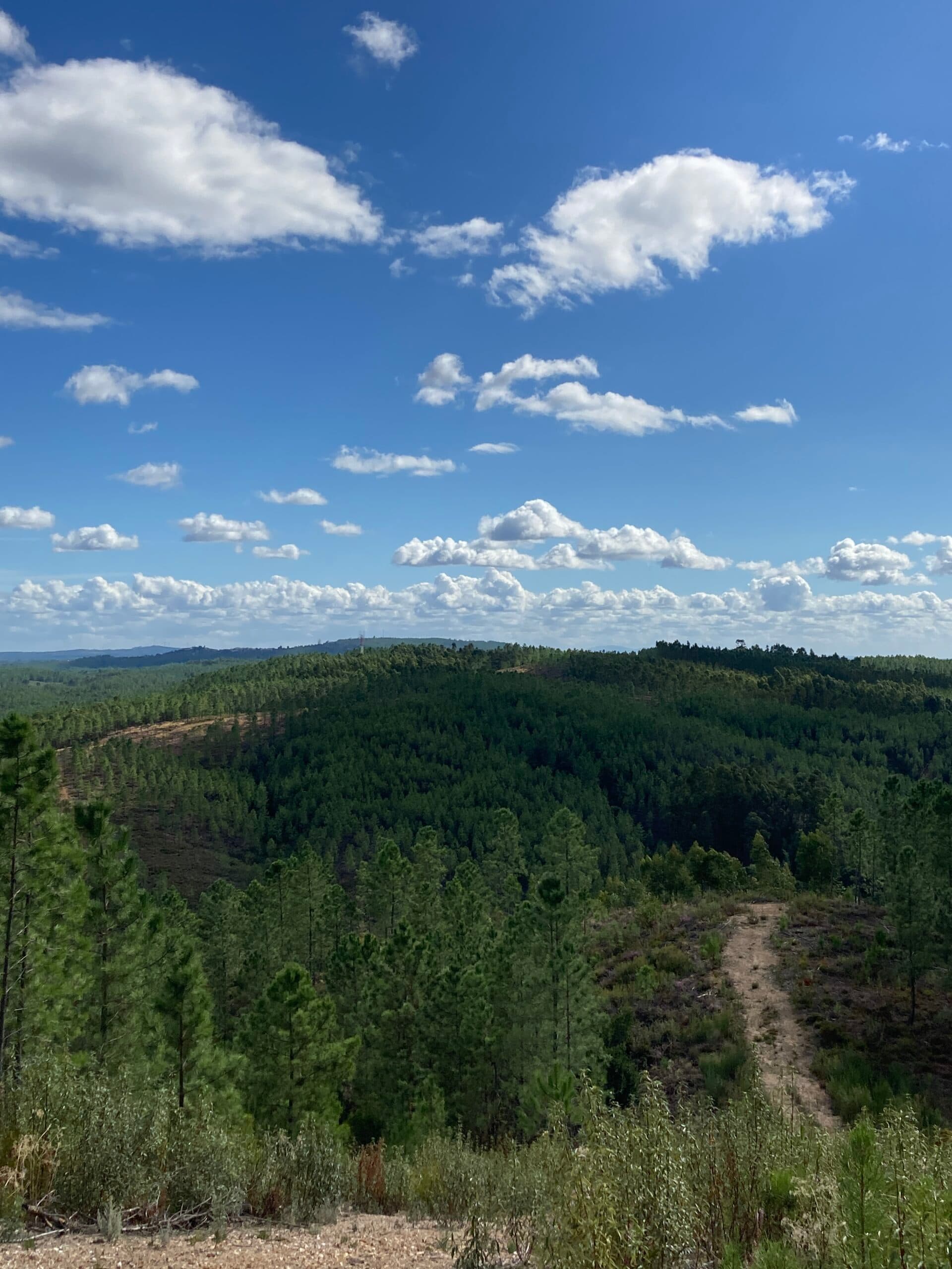 Myoho Valley Landscape