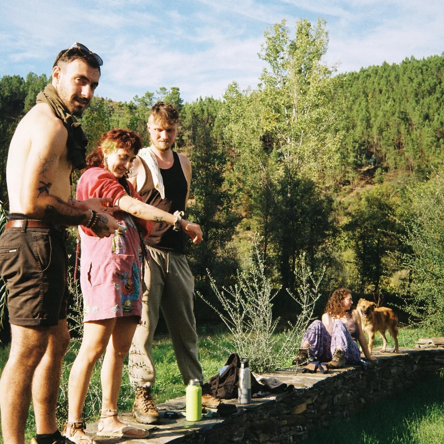 Volunteer Program
